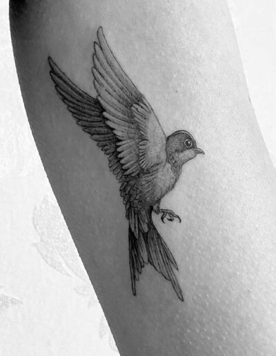 studioa tattoo hamburg winterhude bird