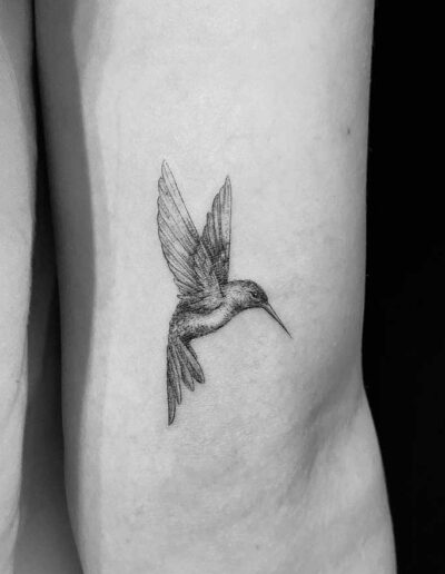 studioa tattoo hamburg winterhude kolibri