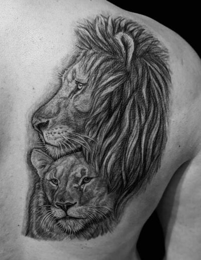 studioa tattoo hamburg winterhude lion